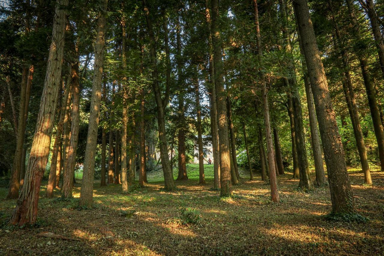 Le Clos D'Abrigeon Aubenas Exteriér fotografie